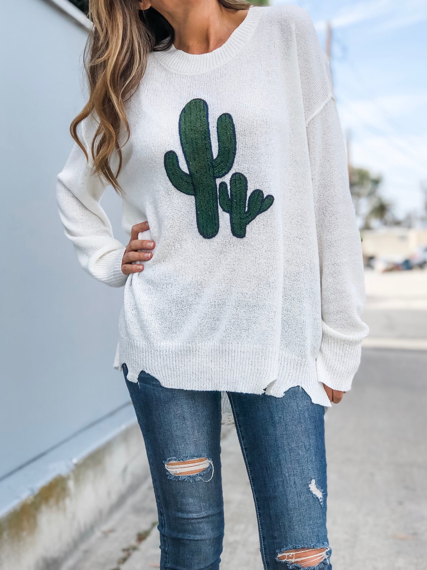 DESERT CACTUS Sweater (Final Sale)