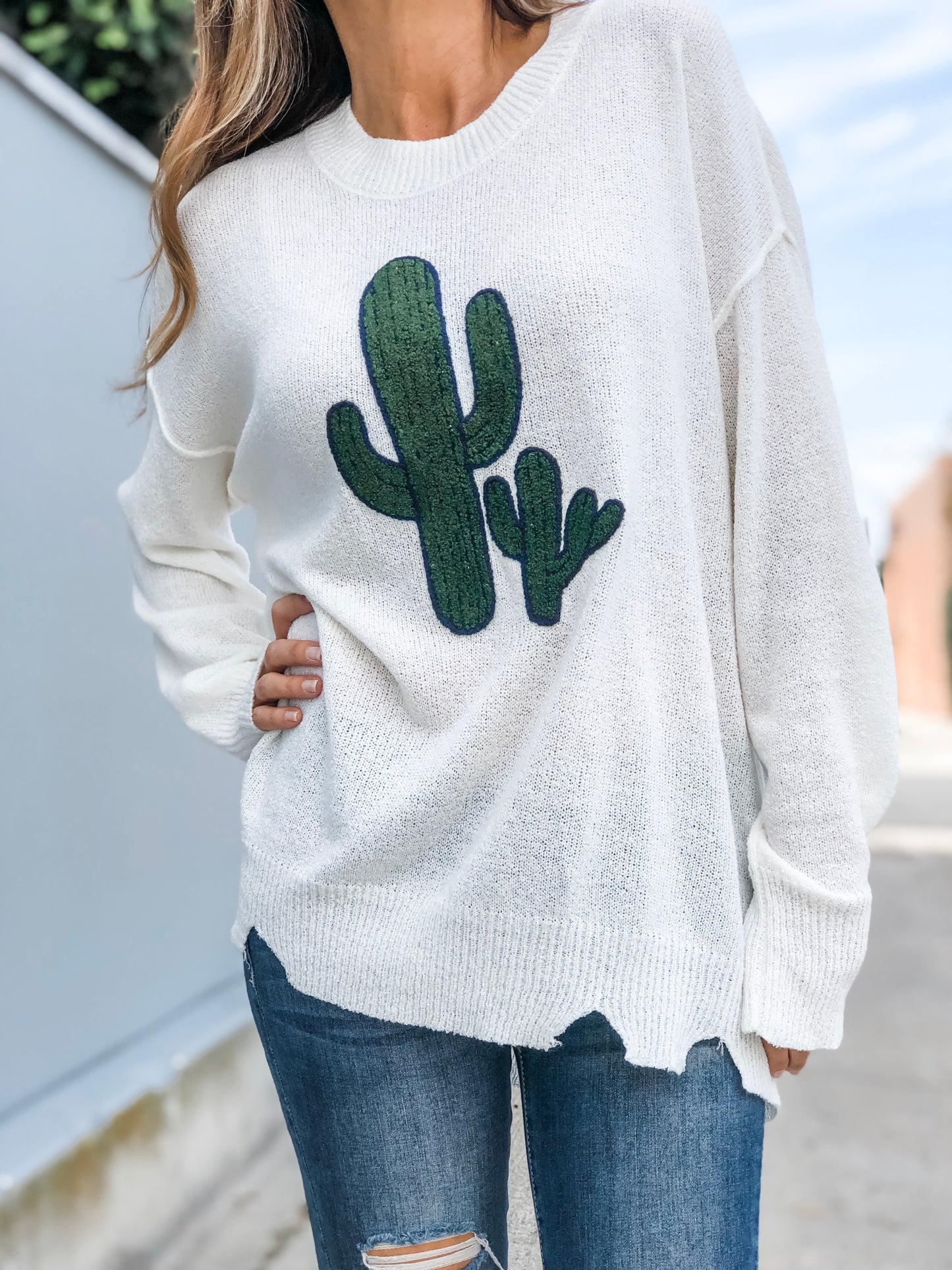 DESERT CACTUS Sweater (Final Sale)