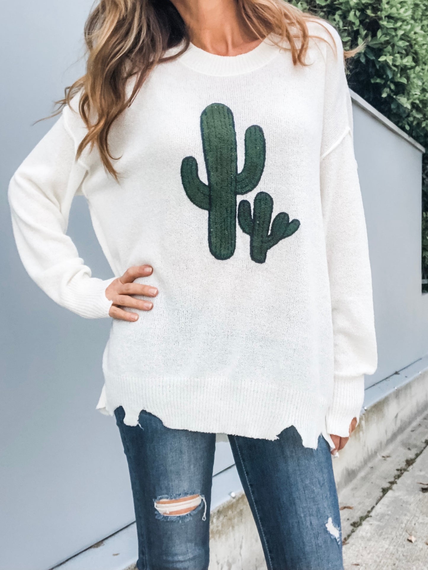 DESERT CACTUS Sweater (Final Sale)