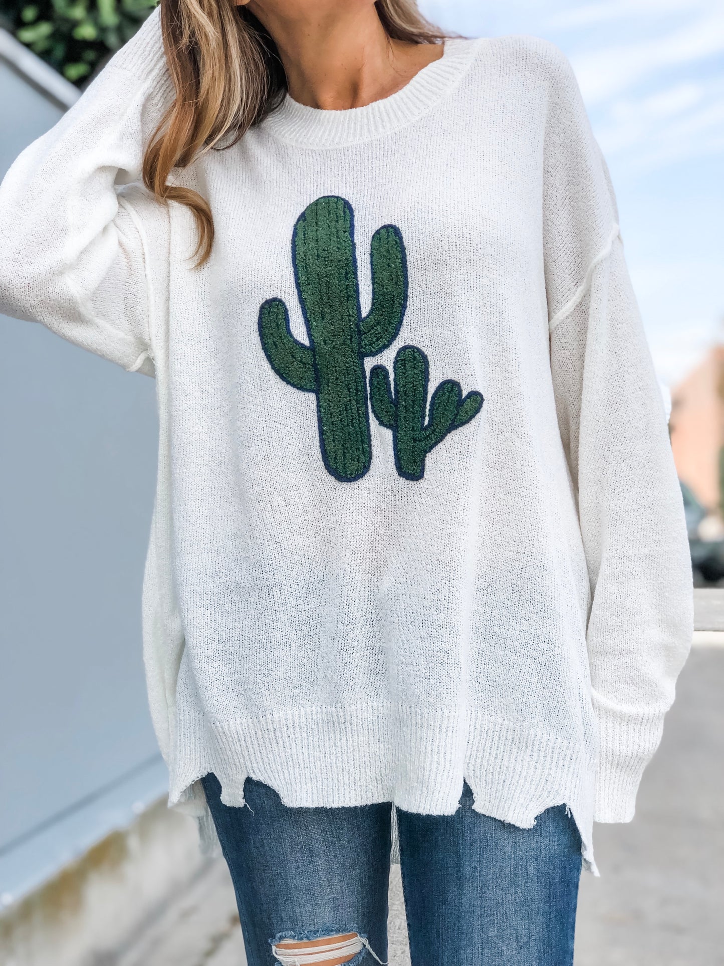 DESERT CACTUS Sweater (Final Sale)